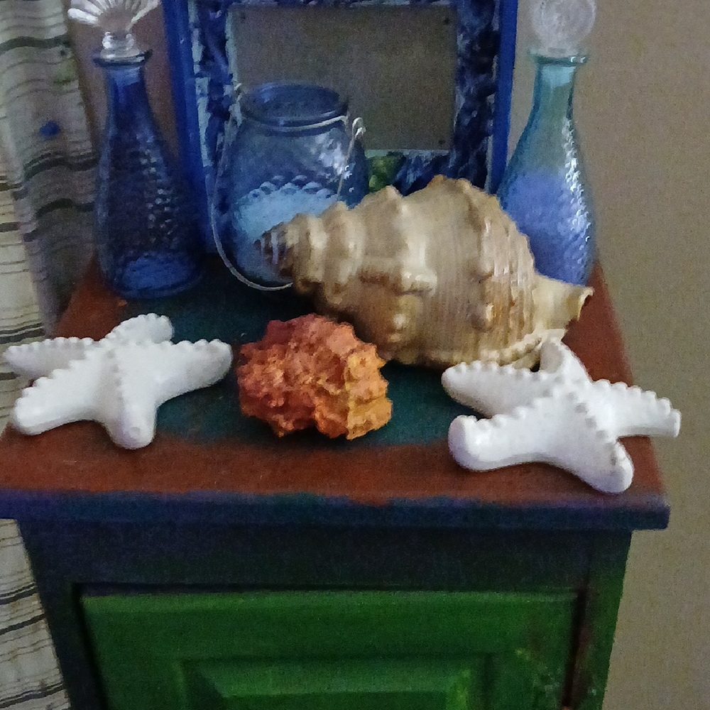 Coastal Starfish and Shell Home Accent Set